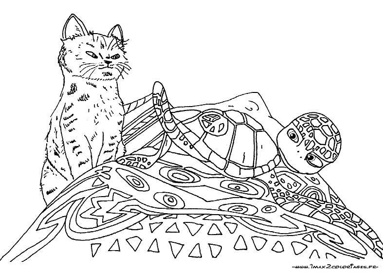coloriage le voyage extraordinaire de samy et le chat